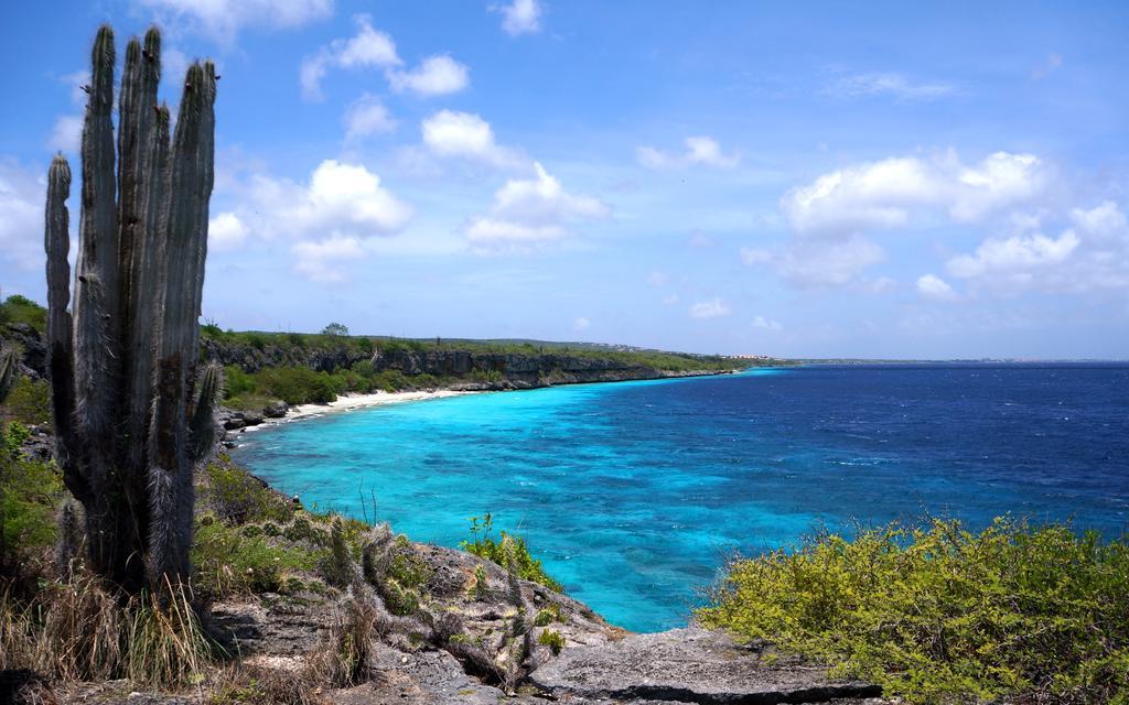 Dormio Bonaire Village Cameră foto